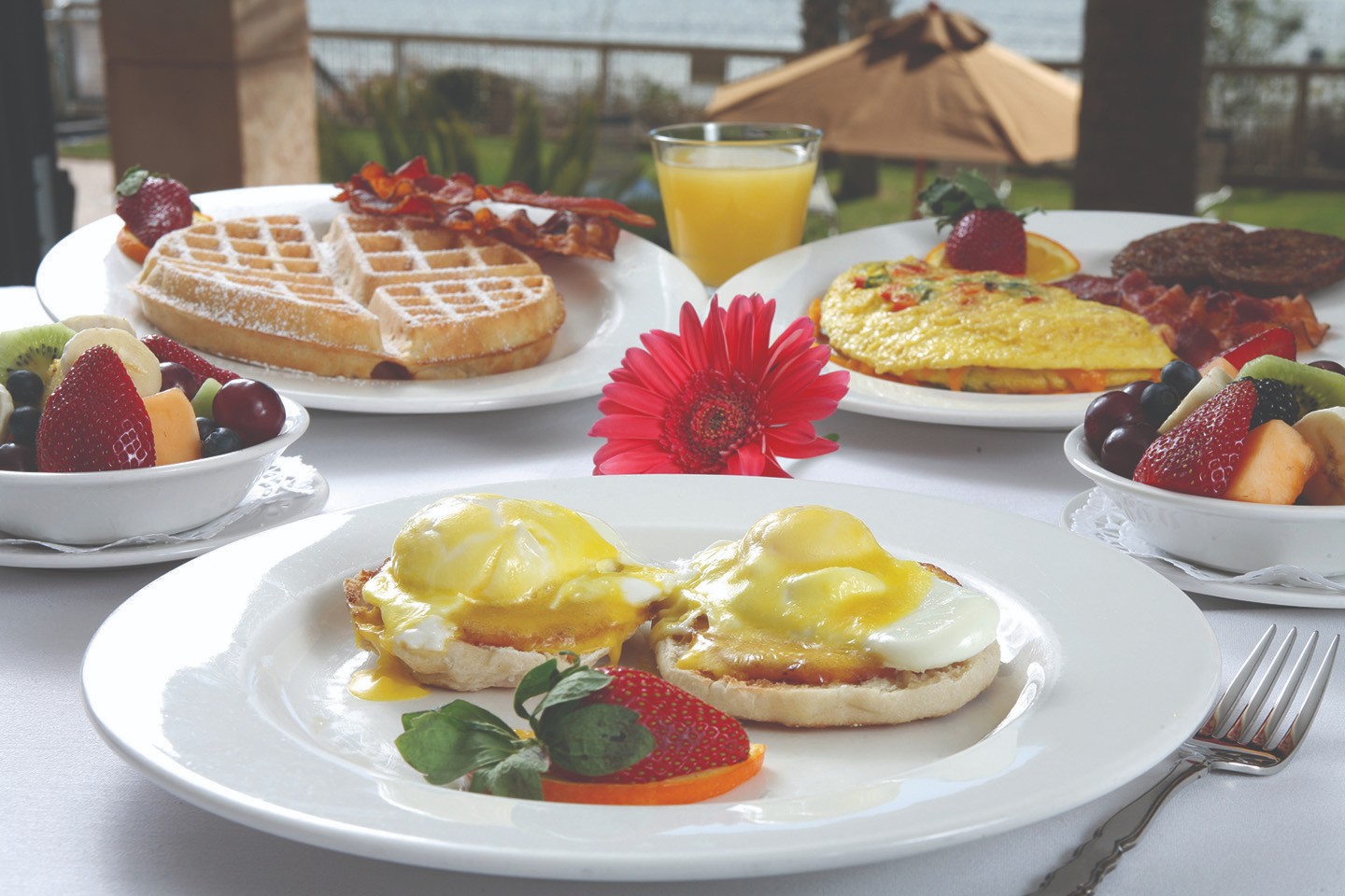 eggs Benedict, waffle, cheese omelet, and fruit bowl